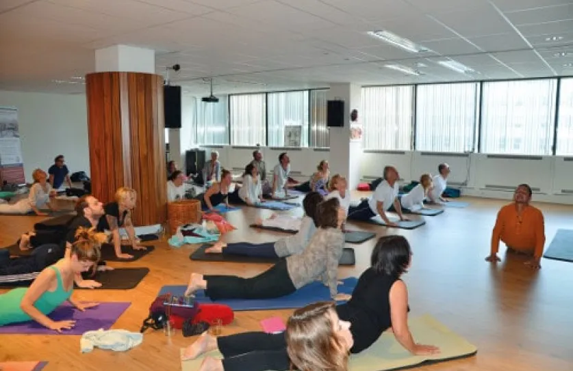 Ayuryoga op Internationale Yoga Dag. Bron: EISRA