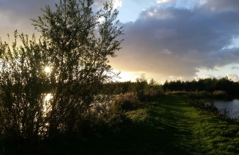 Locatie aan het water in De Biesbosch. Foto Shirley de Koster