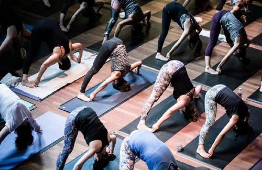 © YogaFest / TommyNLance