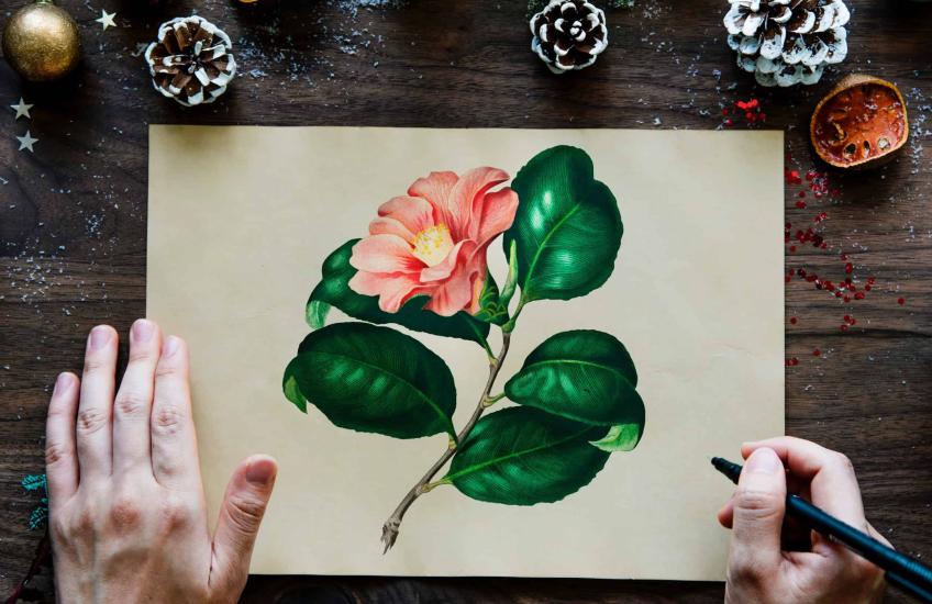 zen tekenen bloem verven