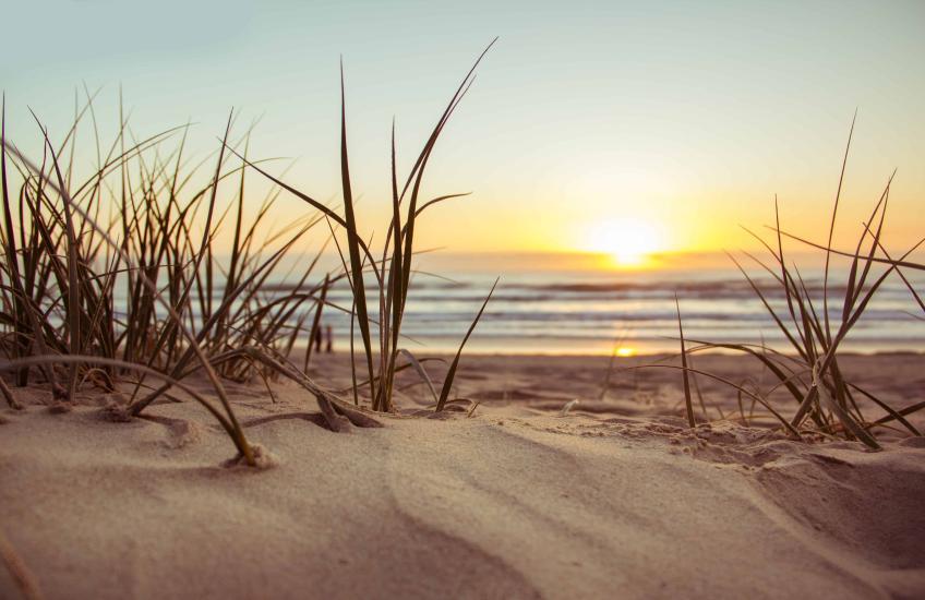 wadden yoga buiten vakantie meditatie