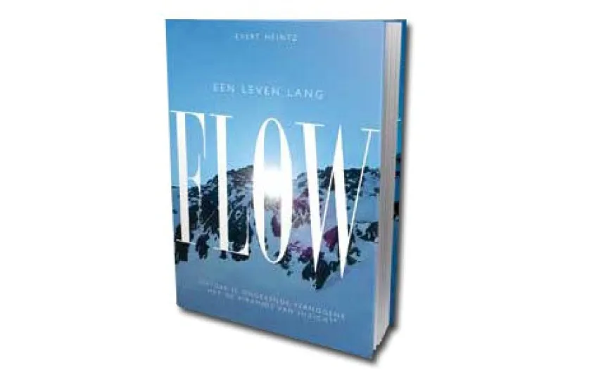 De Piramide van Inzicht