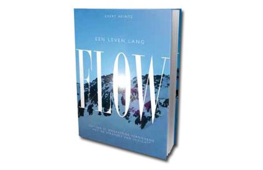 De Piramide van Inzicht