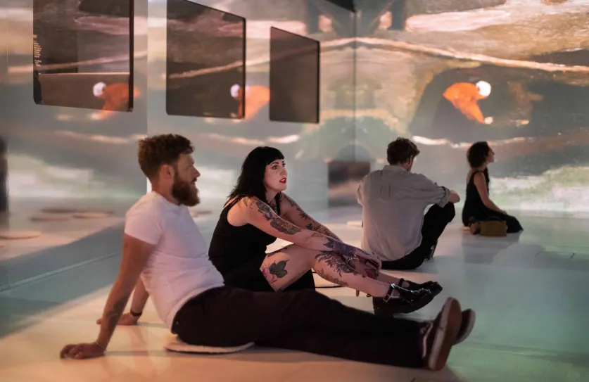 Kunst voor mentale gezondheid