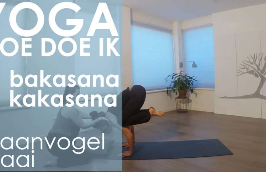 yoga video kraai balans kraanvogel lastig 
