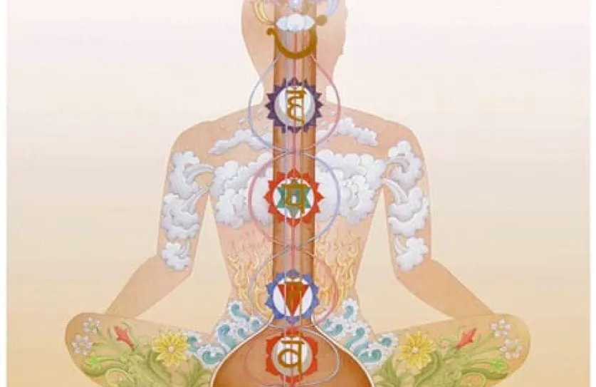 svar yoga chakra institute shri Shyamji Bhatnagar ademhaling 