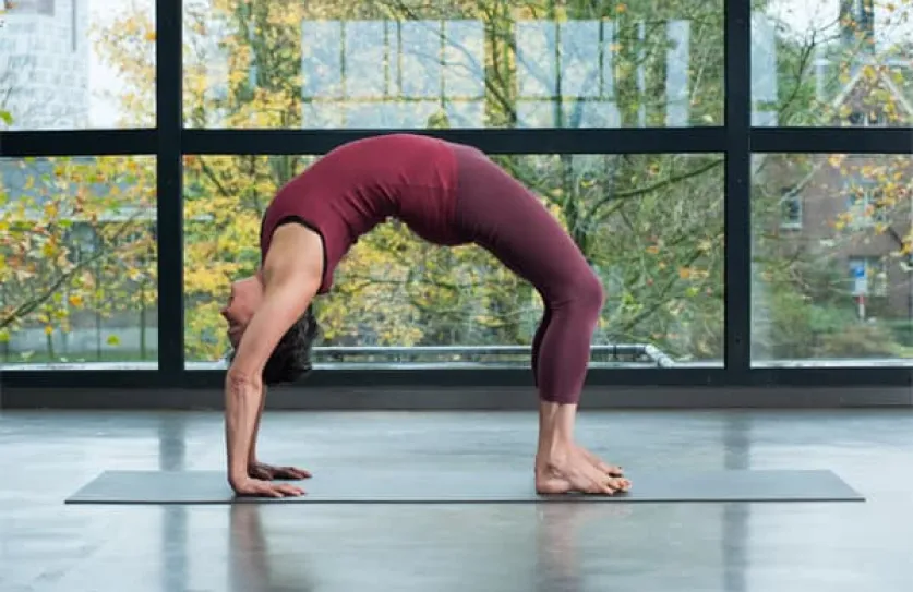 B.K.S. Iyengar opleidingen