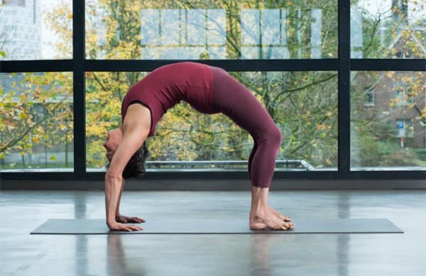 B.K.S. Iyengar opleidingen