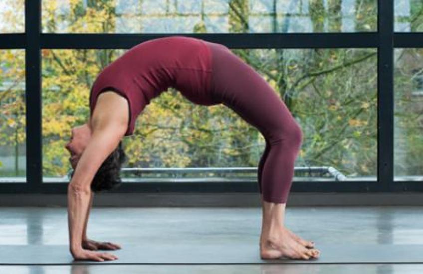 Iyengar Yoga Vereniging Nederland (IYVN)