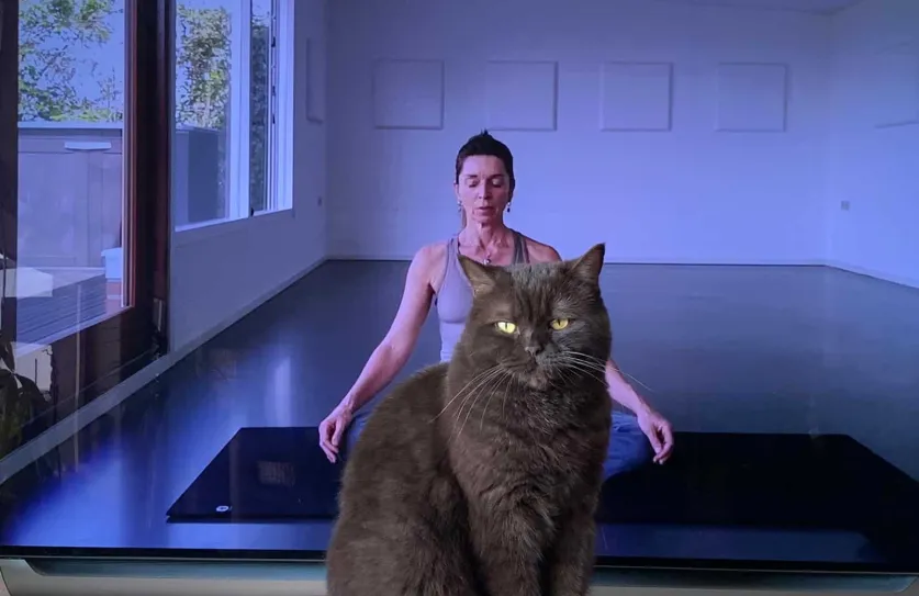 Lichaamswerk Carpe Diem