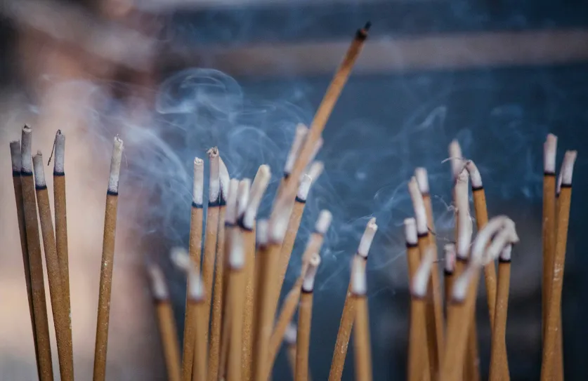 Foto: Milada Vigerova