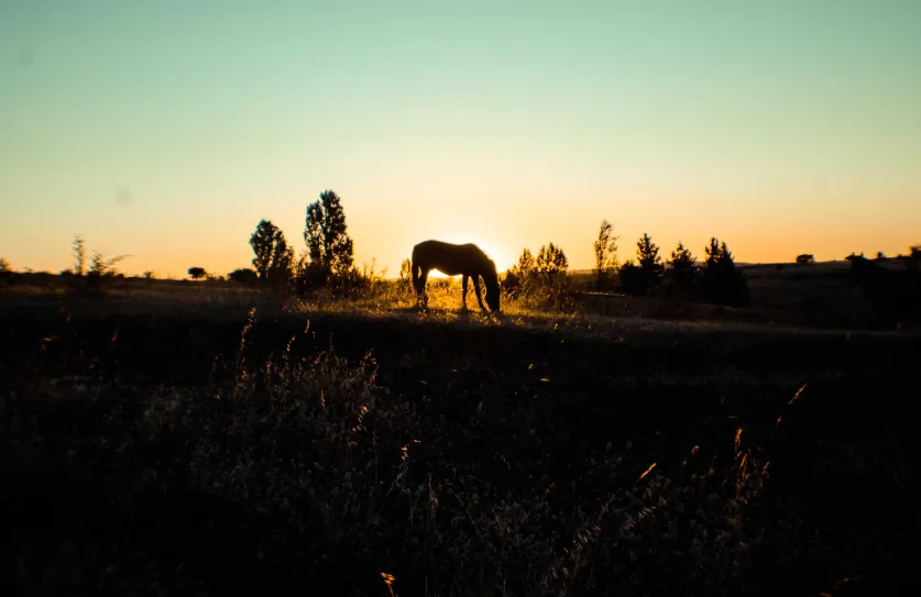 Photo by erik cid on Unsplash