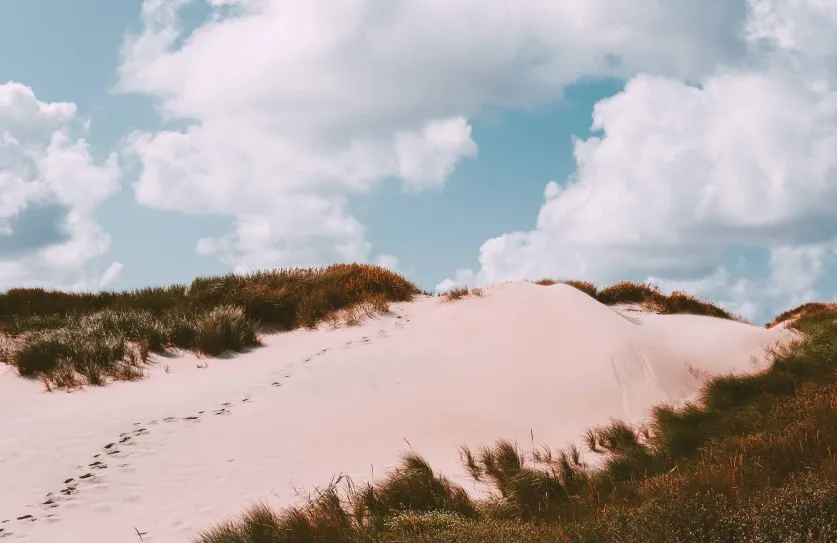 yoga schiermonnikoog