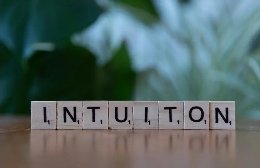 Intuitie