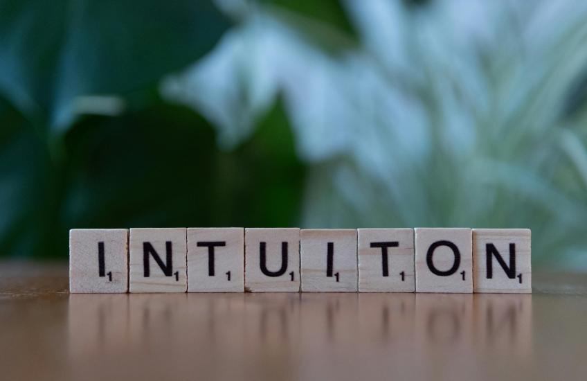 Intuitie