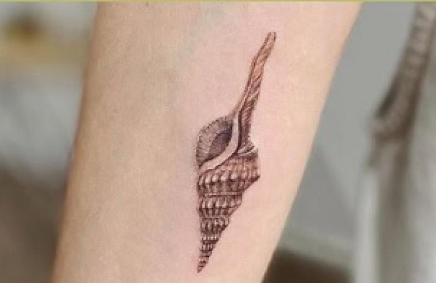 shell tattoo