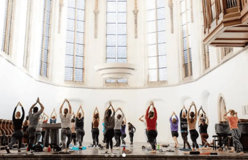 Instagram @utrechtuniversity