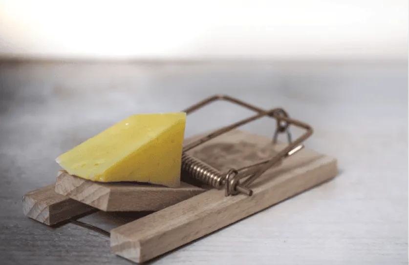 Hoe kies je de juiste partner als je angstig gehecht bent? – Red flags niet negeren