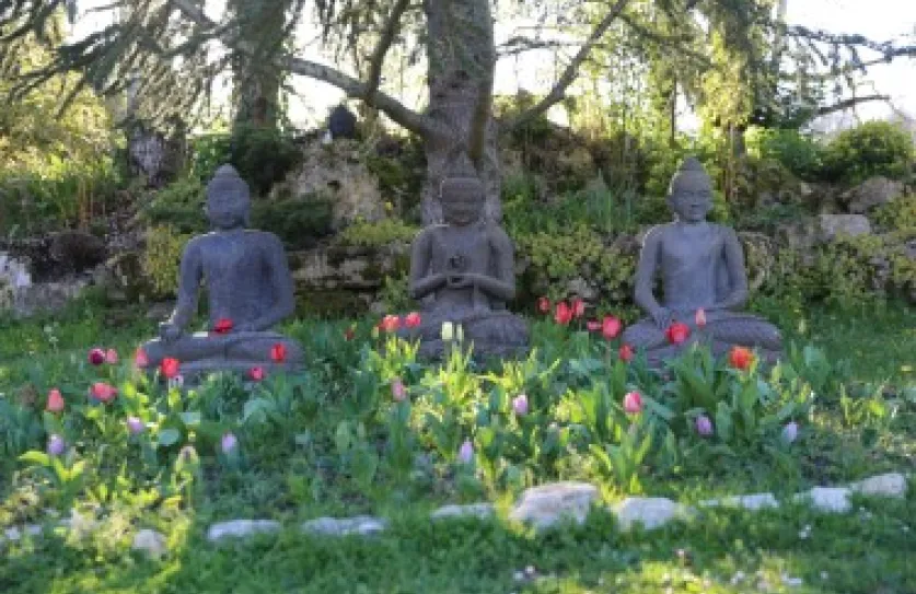 blog boeddhisme Plum Village