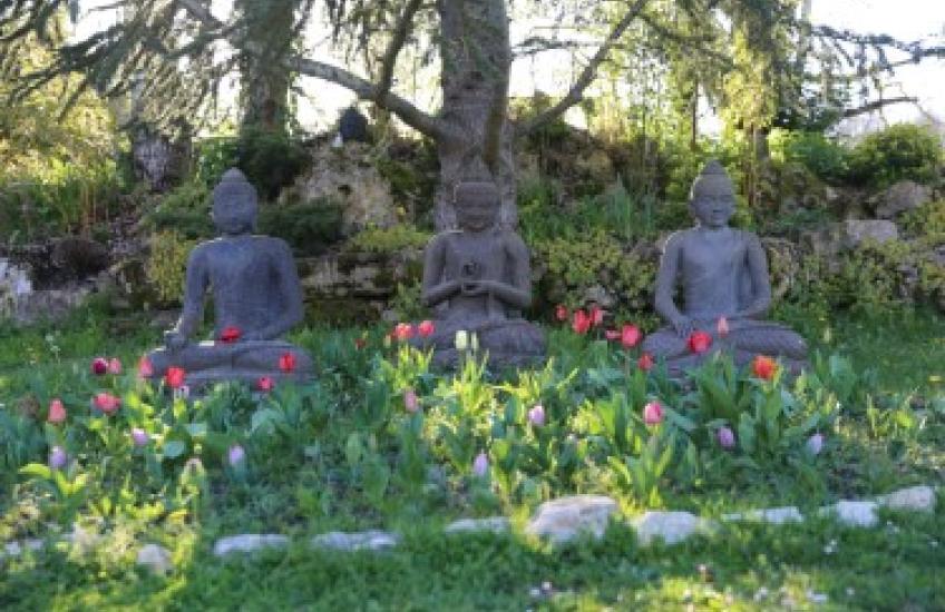 blog boeddhisme Plum Village