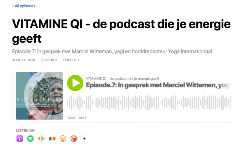 Vitamine QI podcast Hans Vos interviewt Marciel Witteman