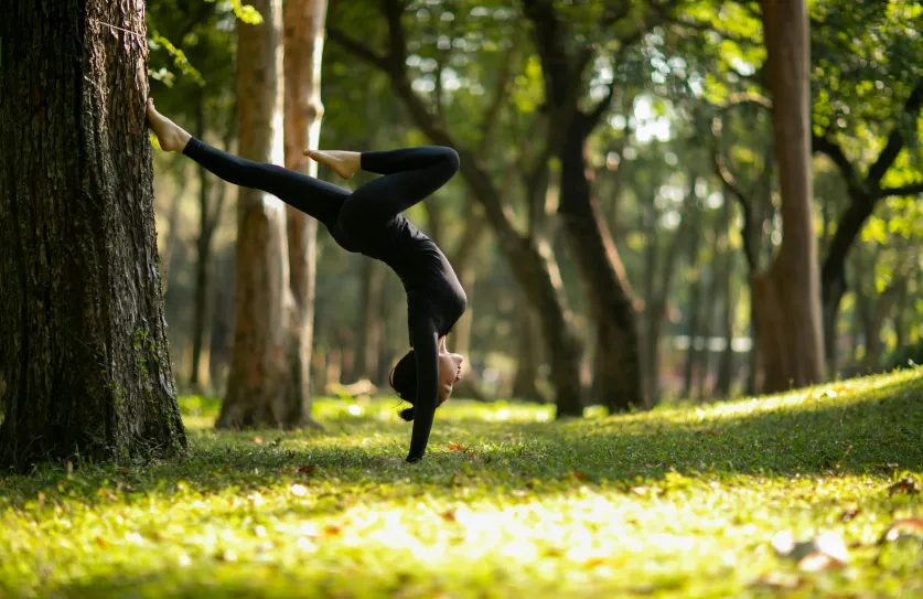 Yoga in het bos