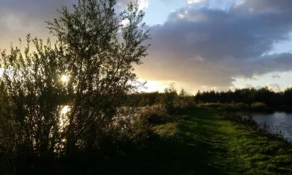 Locatie aan het water in De Biesbosch. Foto Shirley de Koster