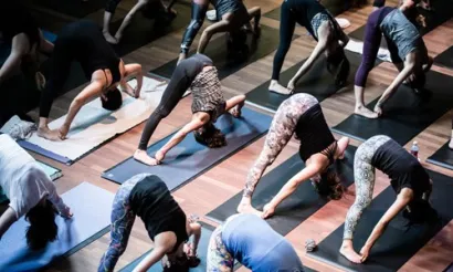 © YogaFest / TommyNLance