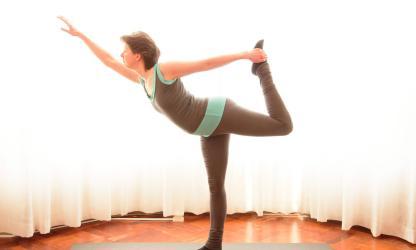 Integrale Yoga Nederland