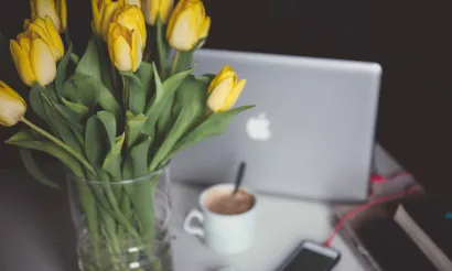 Unsplash. © Alisa Anton