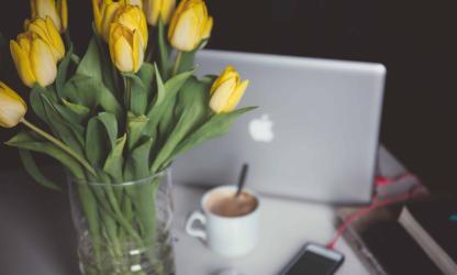 Unsplash. © Alisa Anton