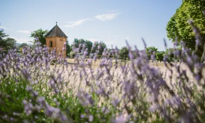 Foto’s: Celine Hamelin