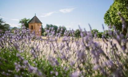 Foto’s: Celine Hamelin