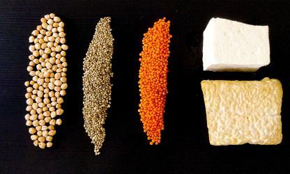 Goede bronnen voor eiwitten. Foto door Gesina Kunkel via Unsplash