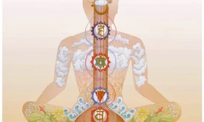 svar yoga chakra institute shri Shyamji Bhatnagar ademhaling 