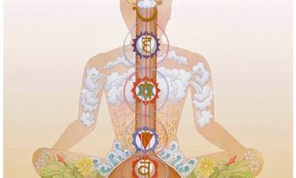 svar yoga chakra institute shri Shyamji Bhatnagar ademhaling 