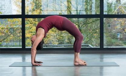 B.K.S. Iyengar opleidingen