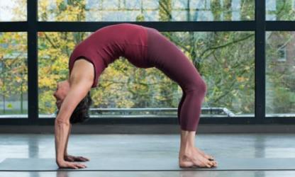 Iyengar Yoga Vereniging Nederland (IYVN)