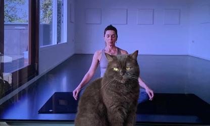 Lichaamswerk Carpe Diem