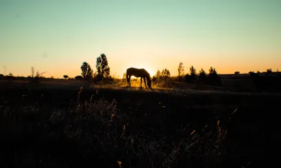 Photo by erik cid on Unsplash