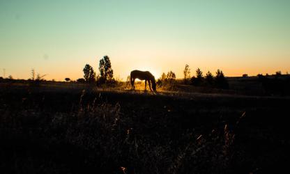 Photo by erik cid on Unsplash