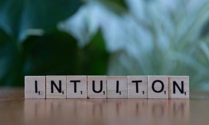 Intuitie