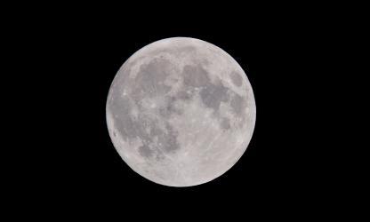 Foto van Peter de Vink via Pexels