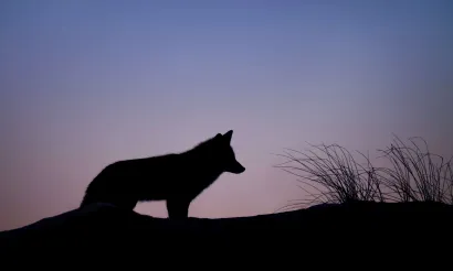 Foto Ray Hennessy via Unsplash