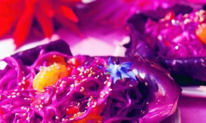 RODE KOOLSALADE MET SINAASAPPEL - De Veldkeuken