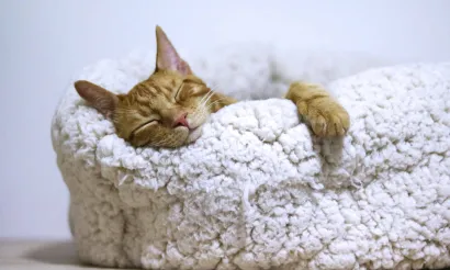 menstruatie ongesteld yoga hoe doen routine lastig bloed