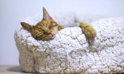 menstruatie ongesteld yoga hoe doen routine lastig bloed