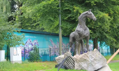 Majestueus paard. Foto Klaartje Grol