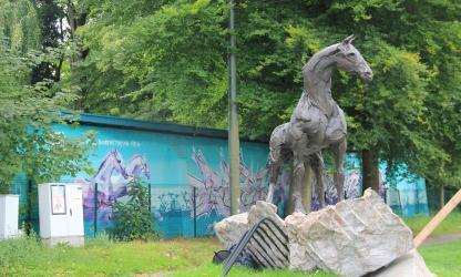 Majestueus paard. Foto Klaartje Grol