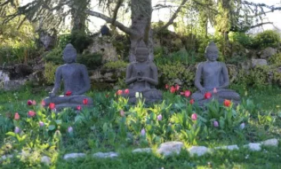 blog boeddhisme Plum Village